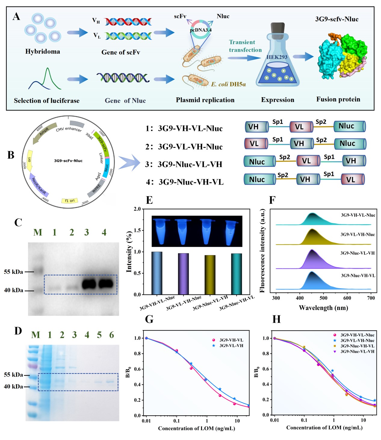 fig2_01(4)